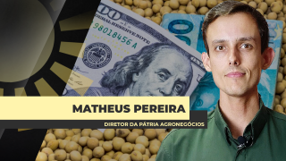 Matheus Pereira - Sócio-Diretor da Pátria Agronegócios