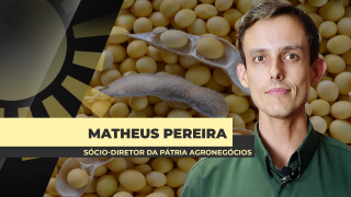Matheus Pereira - Sócio-Diretor da Pátria Agronegócios