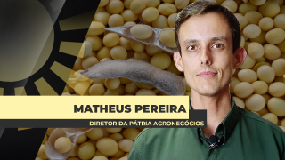 Matheus Pereira - Sócio-Diretor da Pátria Agronegócios