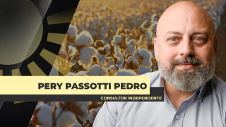 Pery Passotti Pedro - Consultor Independente