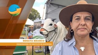 Renata Branco - Pesquisadora do Instituto de Zootecnia