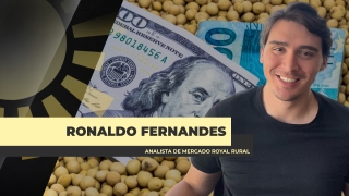 Ronaldo Fernandes - Analista de Mercado Royal Rural