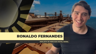 Ronaldo Fernandes - Analista de Mercado Royal Rural