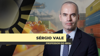 Sérgio Vale - Economista e Professor do IBDA