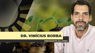 Dr. Vinícius Borba - Advogado