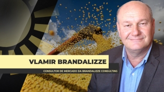 Vlamir Brandalizze - Consultor de Mercado da Brandalizze Consulting