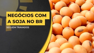 Matheus Pereira - Sócio-Diretor da Pátria Agronegócios