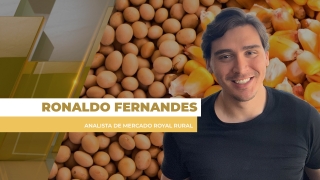 Ronaldo Fernandes - Analista de Mercado Royal Rural