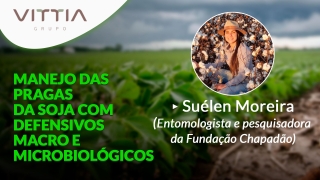 Confira a palestra de Suélen Moreira