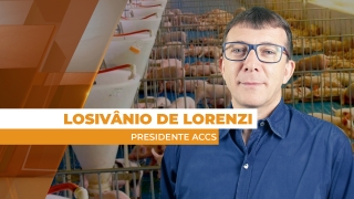 Losivânio de Lorenzi - Presidente ACCS