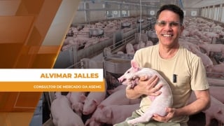 Alvimar Jalles - Consultor de Mercado da ASEMG