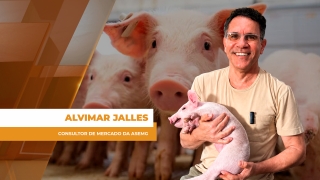 Alvimar Jalles - Consultor de Mercado da ASEMG