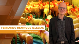 Fernando Henrique Iglesias - Analista da Safras & Mercado