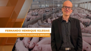 Fernando Henrique Iglesias - Analista da Safras & Mercado
