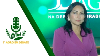 Dra. Suzi Artuzi - Advogada especialista em Recuperação Judicial