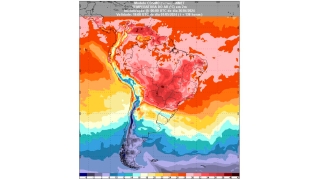 Bárbara Sentelhas - CEO e Co-fundadora da Agrymet