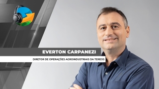 Everton Carpanezi