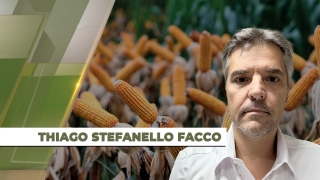 Thiago Stefanello Facco - Vice-Presidente da Aprosoja TO