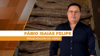 Fábio Isaias Felipe - Pesquisador do Cepea