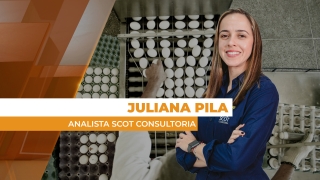 Juliana Pila - Analista Scot Consultoria