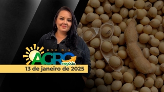 Bom Dia Agro - Com Carla Mendes