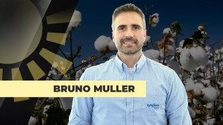 Bruno Muller