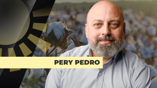 Pery Passotti Pedro