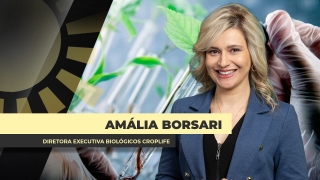 Amália Borsari
