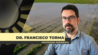 Dr. Francisco Torma - Advogado Agrarista