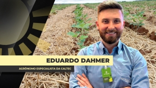 Eduardo Dahmer - Agrônomo Especialista da Caltec
