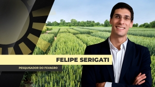 Felippe Serigati - Pesquisador do FGVAgro