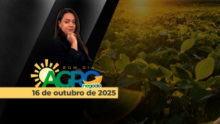 Bom Dia Agro - com Andressa Simão