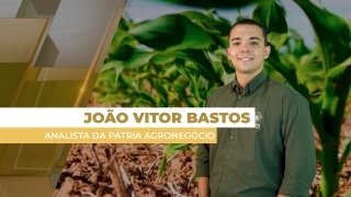 João Vitor Bastos - Analista de Mercado da Pátria Agronegócio