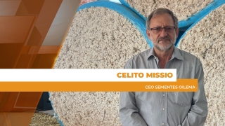 Celito Missio - CEO Sementes Oilema