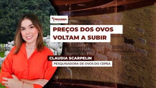 Claudia Scarpelin - Pesquisadora de Ovos do Cepea