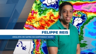 Felippe Reis - Analista de Safra da EarthDaily