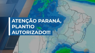 Desirée Brandt - Meteorologista da Nottus