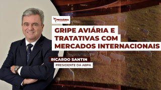 Ricardo Santin - Presidente da ABPA