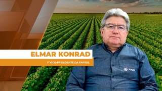 Elmar Konrad - 1° Vice-Presidente da Farsul