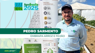 Pedro Sarmento, Analista de transferência tecnológica da Embrapa Arroz e Feijão