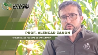 Produtor e Prof. Alencar Zanon