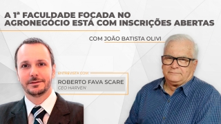 Roberto Fava Scare - CEO Harven