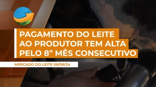 Ana Paula Negri - Pesquisadora Cepea