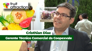 Cristhian Diaz