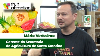 Mário Veríssimo