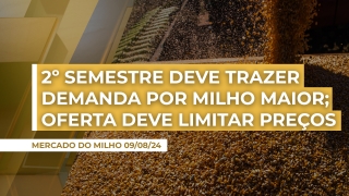 Stefan Podsclan - Consultor de Grãos e Projetos na Agrifatto