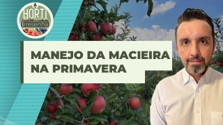 Horti Resenha Podcast - Guilherme Dorigatti