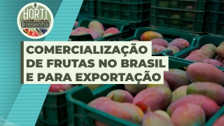 Horti Resenha Podcast - Guilherme Dorigatti