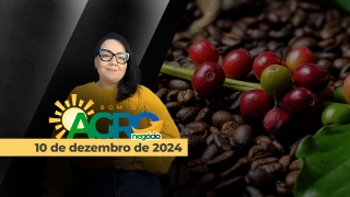 Bom Dia Agro 10/12/2024 - Com Carla Mendes