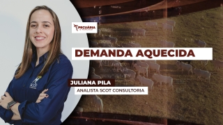 Juliana Pila - Analista Scot Consultoria